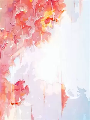 祈苏网络