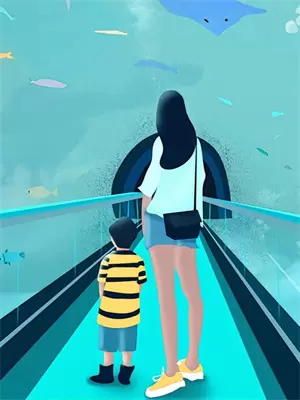 黑红女明星参加综艺后爆红