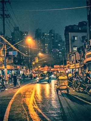 此生许国,亦可许卿什么意思