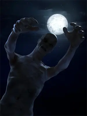 灿烂恒星